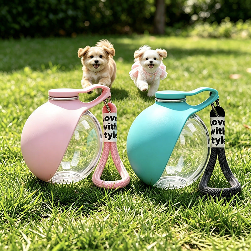 Water dispenser for pets