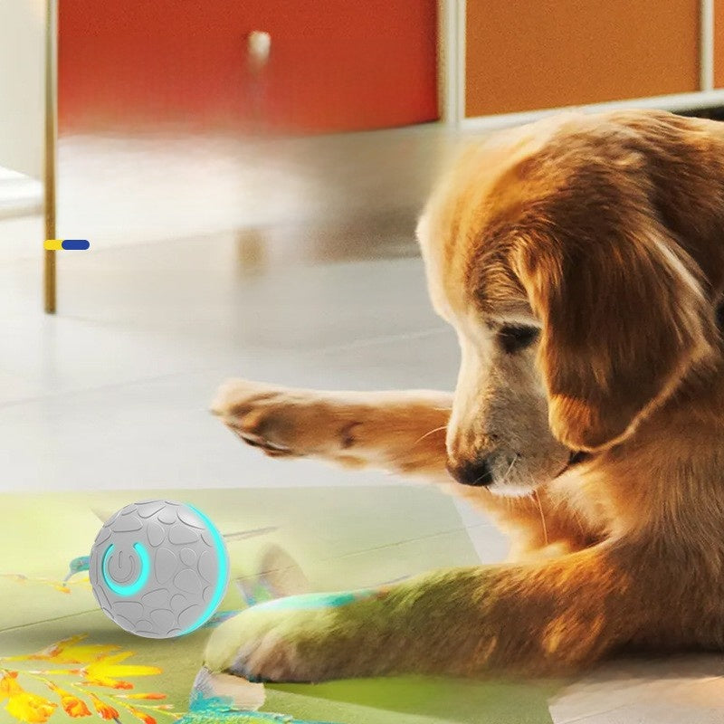 Smart Electric Bouncing Ball for Pets