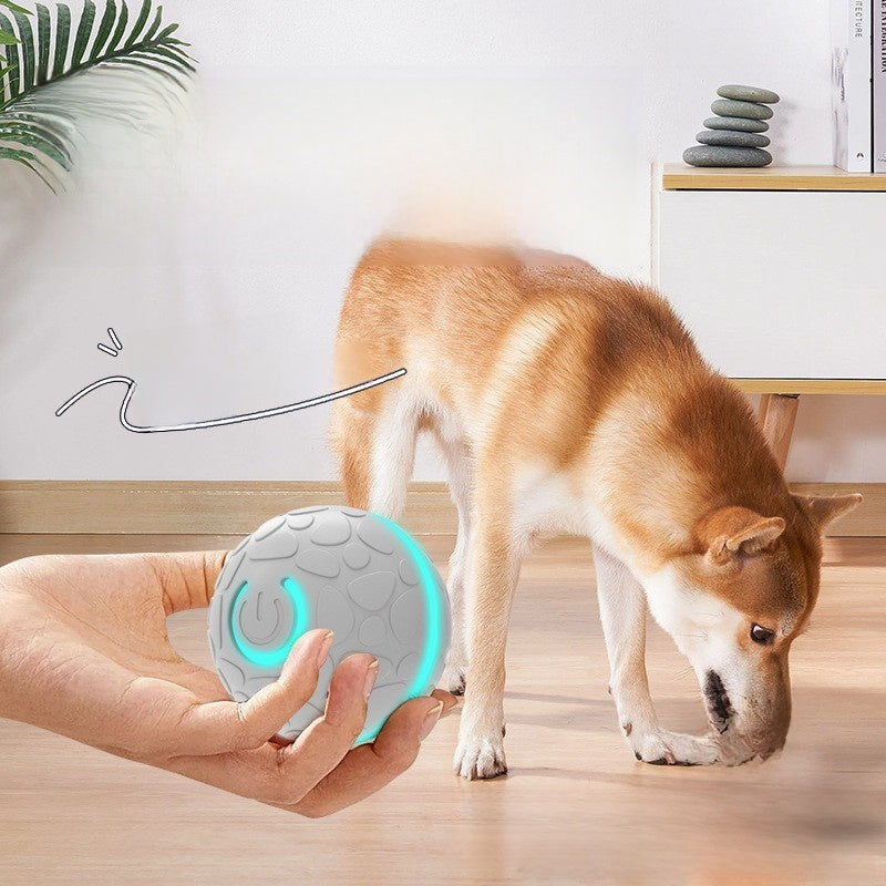 Smart Electric Bouncing Ball for Pets