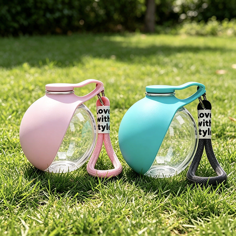 Water dispenser for pets